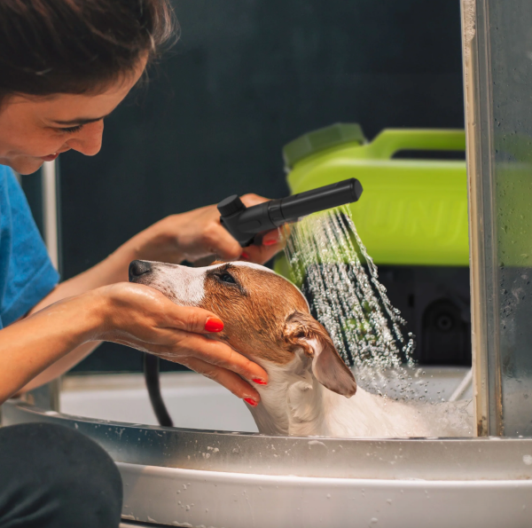 Restored Sun Joe WA24C-LTE | 24-Volt* | IONMAX Cordless Go-Anywhere Portable Sink/Shower Spray Washer Kit | 5 Gal | 116 PSI Max* | 1.5 GPM Max* | W/ 2.0Ah Battery + Charger (Refurbished) - Image 8